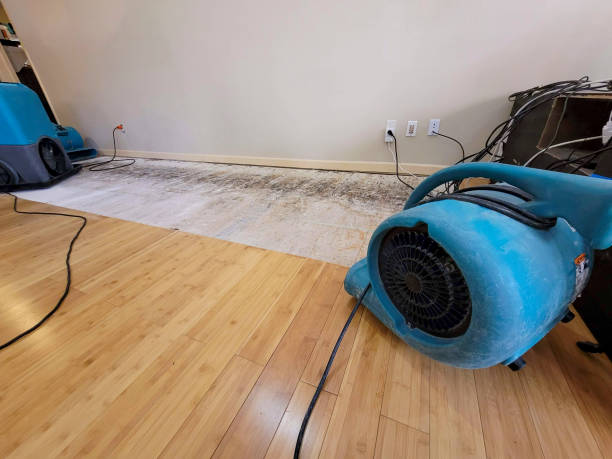 Professional Burst Pipe Water Damage technician working in Chester, MA